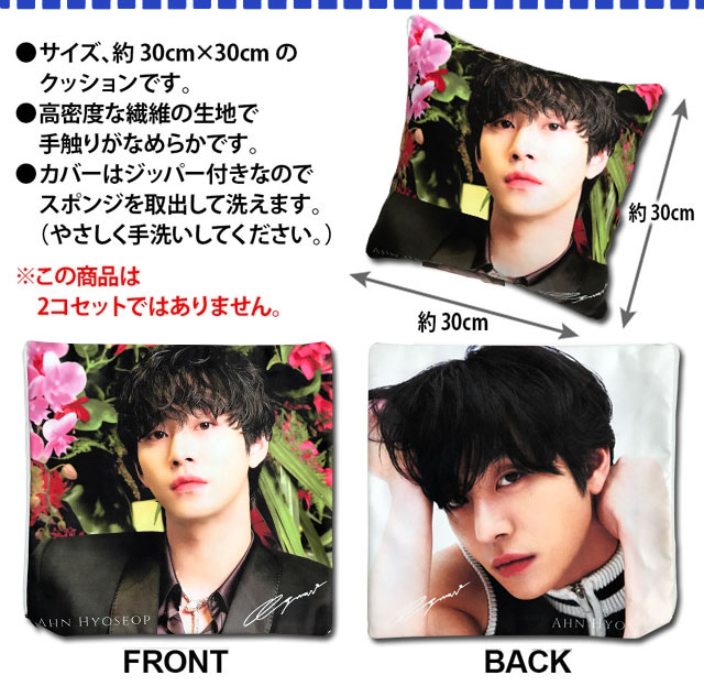 アンヒョソプ (アン・ヒョソプ) グッズ クッション CUSHION | GOODS